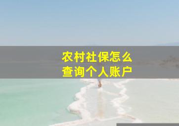 农村社保怎么查询个人账户