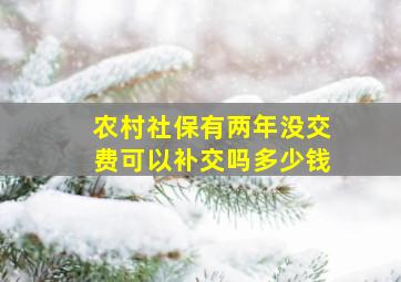 农村社保有两年没交费可以补交吗多少钱