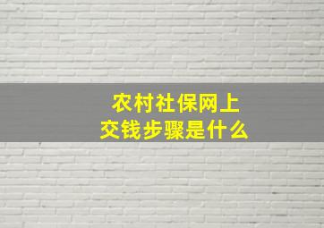 农村社保网上交钱步骤是什么