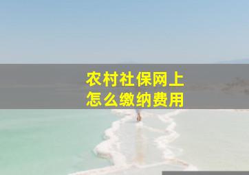 农村社保网上怎么缴纳费用