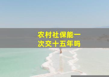 农村社保能一次交十五年吗