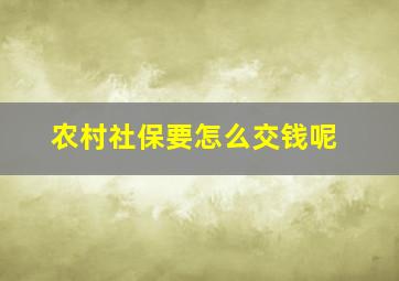 农村社保要怎么交钱呢