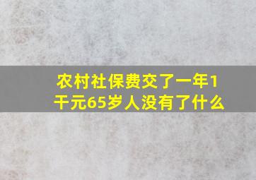 农村社保费交了一年1干元65岁人没有了什么