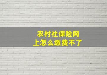 农村社保险网上怎么缴费不了