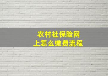 农村社保险网上怎么缴费流程