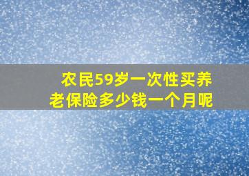 农民59岁一次性买养老保险多少钱一个月呢