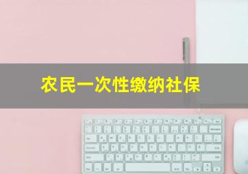 农民一次性缴纳社保