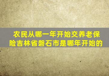 农民从哪一年开始交养老保险吉林省磐石市是哪年开始的