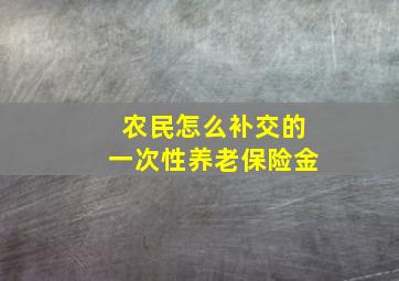 农民怎么补交的一次性养老保险金