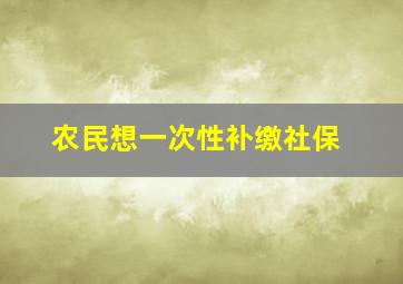 农民想一次性补缴社保