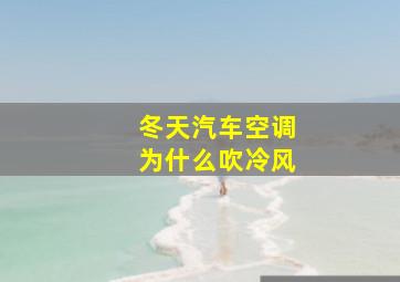 冬天汽车空调为什么吹冷风