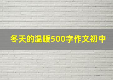 冬天的温暖500字作文初中