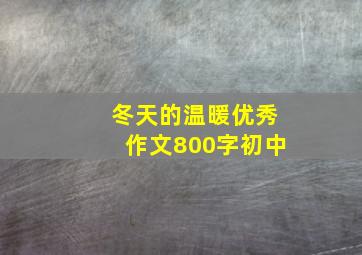 冬天的温暖优秀作文800字初中