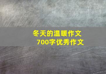 冬天的温暖作文700字优秀作文