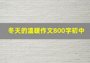 冬天的温暖作文800字初中