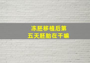 冻胚移植后第五天胚胎在干嘛