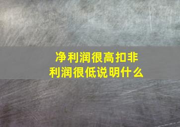 净利润很高扣非利润很低说明什么