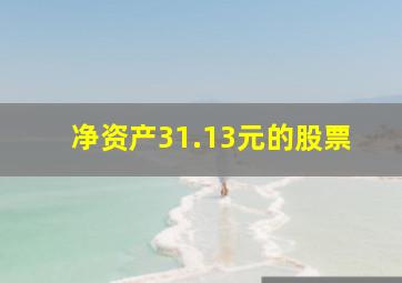 净资产31.13元的股票