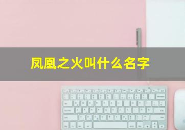 凤凰之火叫什么名字