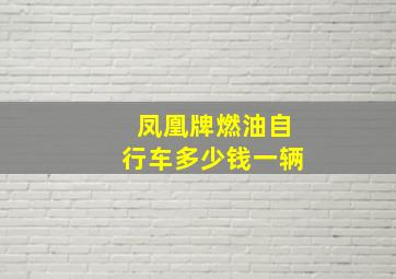 凤凰牌燃油自行车多少钱一辆