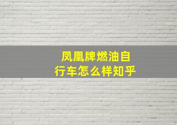 凤凰牌燃油自行车怎么样知乎