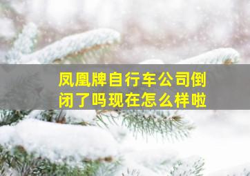 凤凰牌自行车公司倒闭了吗现在怎么样啦