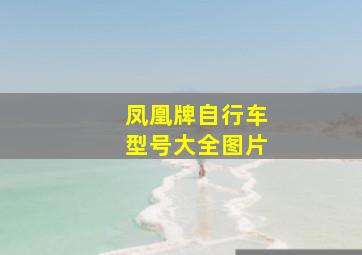 凤凰牌自行车型号大全图片