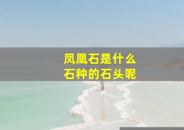 凤凰石是什么石种的石头呢