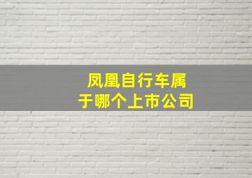 凤凰自行车属于哪个上市公司