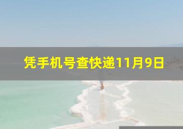 凭手机号查快递11月9日