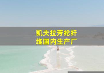 凯夫拉芳纶纤维国内生产厂