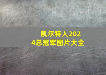 凯尔特人2024总冠军图片大全