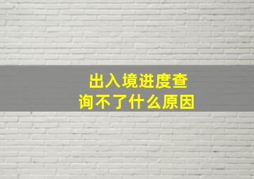 出入境进度查询不了什么原因