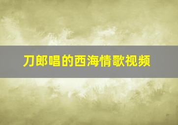 刀郎唱的西海情歌视频