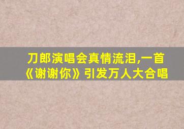 刀郎演唱会真情流泪,一首《谢谢你》引发万人大合唱