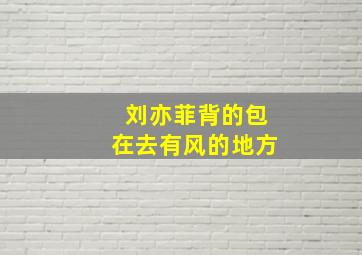 刘亦菲背的包在去有风的地方