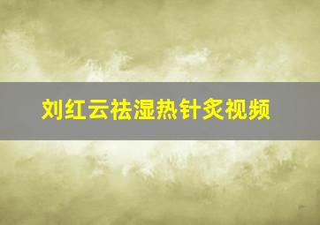 刘红云祛湿热针炙视频