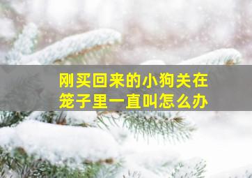 刚买回来的小狗关在笼子里一直叫怎么办