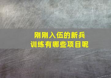 刚刚入伍的新兵训练有哪些项目呢