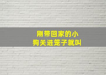 刚带回家的小狗关进笼子就叫