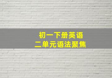 初一下册英语二单元语法聚焦