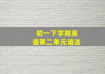 初一下学期英语第二单元语法