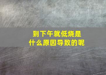 到下午就低烧是什么原因导致的呢