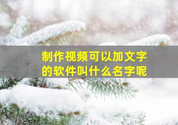 制作视频可以加文字的软件叫什么名字呢