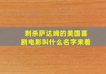 刺杀萨达姆的美国喜剧电影叫什么名字来着