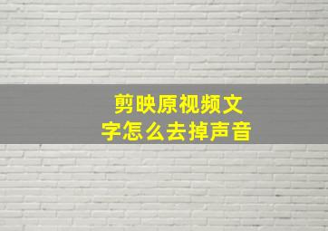 剪映原视频文字怎么去掉声音