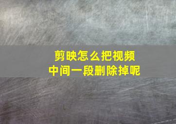 剪映怎么把视频中间一段删除掉呢