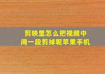 剪映里怎么把视频中间一段剪掉呢苹果手机