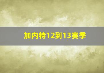 加内特12到13赛季