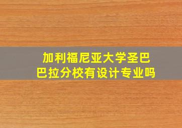 加利福尼亚大学圣巴巴拉分校有设计专业吗